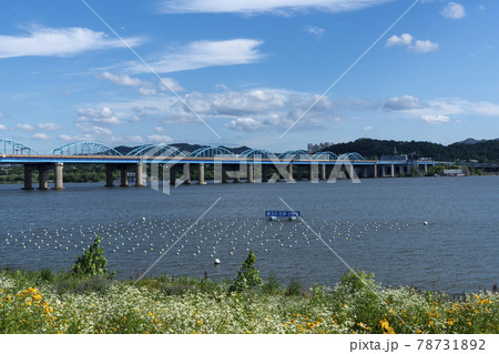 川 河 風景 78731892