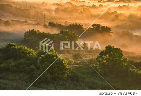 Sunrise of meadow with forest in sunlight and mist 78734087