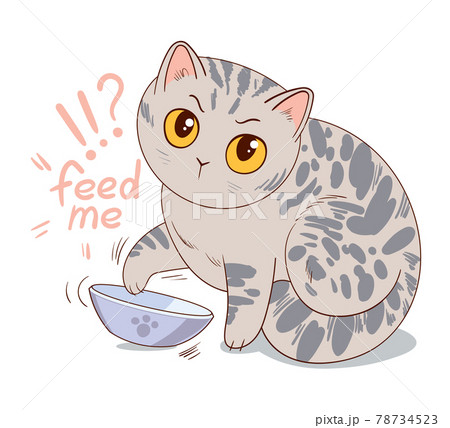 Cat asks for feed sitting in front of an empty bowl 78734523