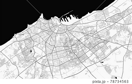 Urban city map of Tunis. Vector poster. Grayscale street map. 78734563