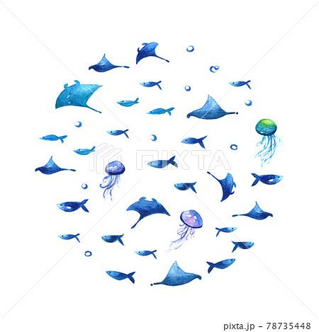 マンタと魚たちのイラスト素材