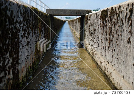 用水路の流れ 用水路の流れ 78736453