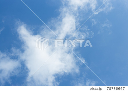青空 78736667
