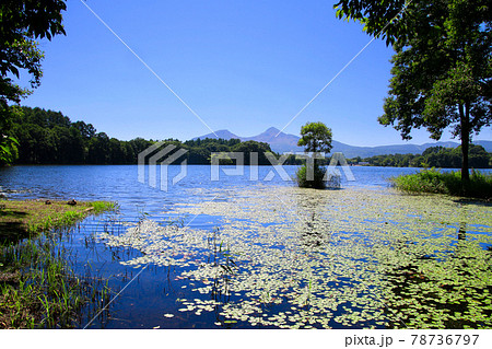 夏の曽原湖(福島県・北塩原村) 夏の曽原湖(福島県・北塩原村) 78736797