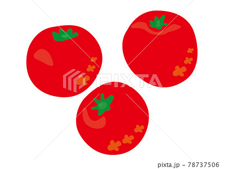 手書き風トマト 78737506