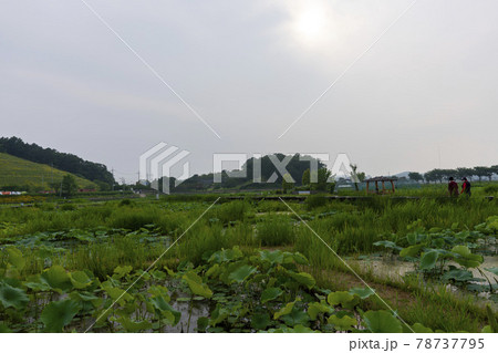 池 グァンゴクジ スポット 78737795