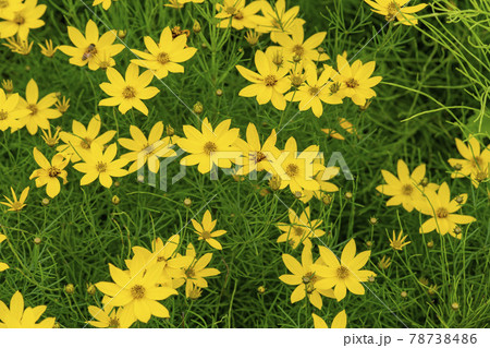 池 グァンゴクジ スポット 78738486