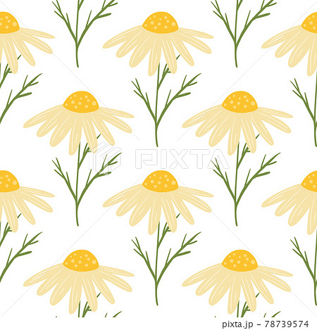 Summer floral seamless pattern with isolated yellow cute daisy flowers print. White background. Botany shapes. Summer floral seamless pattern with isolated yellow cute daisy flowers print. White background. Botany shapes. 78739574