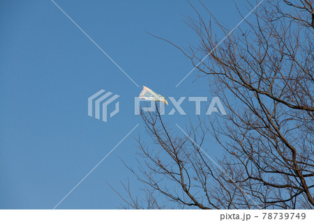 木の枝に引っ掛かった凧 78739749