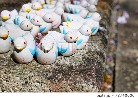 京都 六角堂の鳩みくじ 78740006