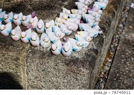 京都 六角堂の鳩みくじ 京都 六角堂の鳩みくじ 78740011
