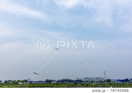 池 修練 花 78740088