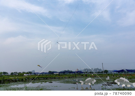 池 修練 花 78740090