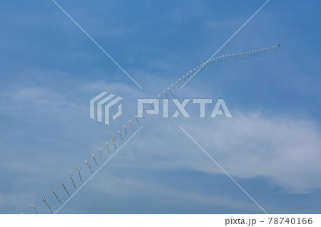 自然 風景 韓国 78740166