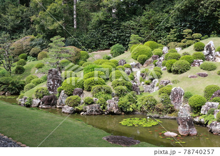 静岡県浜松市北区にある龍潭寺の庭園 78740257