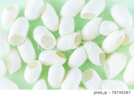 White silkworm cocoons for production silk thread White silkworm cocoons for production silk thread 78740387