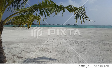 モルディブでの休日 78740426