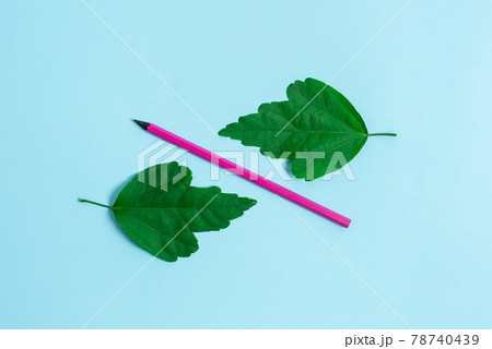 Comparison of Two Objects Blocks Pencils Sticker Notes Facing Inward Outward Making An Arrangement Reflection On a Separated Coloured Background Shot In A Flat Lay Perspective 78740439