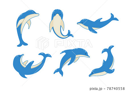 Set Of Cartoon Dolphins In Different Poses のイラスト素材
