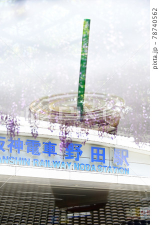 野田駅前の野田藤棚とアイスコーヒー 78740562