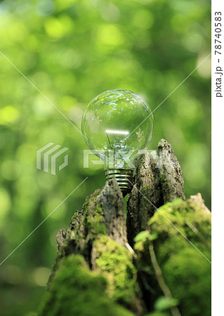 再生可能エネルギー 78740583