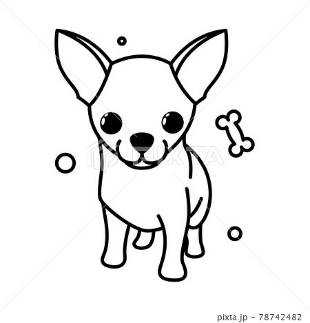 Cute Cartoon Vector Illustration icon of a Chihuahua puppy dog. It is outline style. Cute Cartoon Vector Illustration icon of a Chihuahua puppy dog. It is outline style. 78742482
