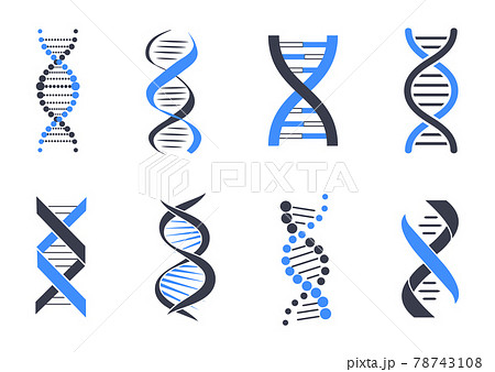 DNA Helix Patterns Colorful Vector Illustration 78743108