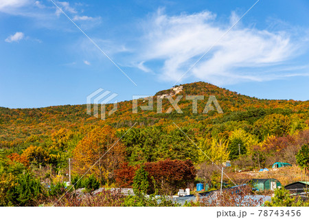 集落と山の紅葉 集落と山の紅葉 78743456