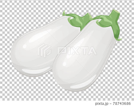 白ナスのイラスト 2本のイラスト素材