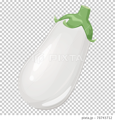 白ナスのイラスト 1本のイラスト素材
