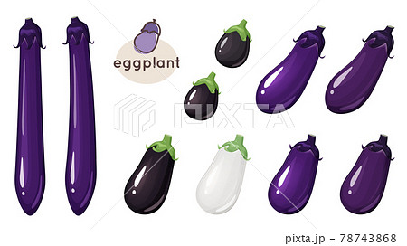 ナスのイラスト素材セット_米ナス_白ナス_長ナス 78743868