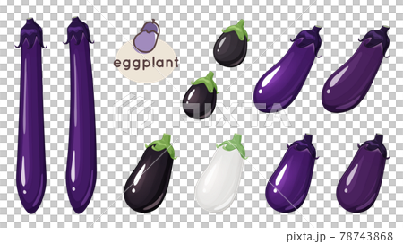 ナスのイラスト素材セット_米ナス_白ナス_長ナス 78743868