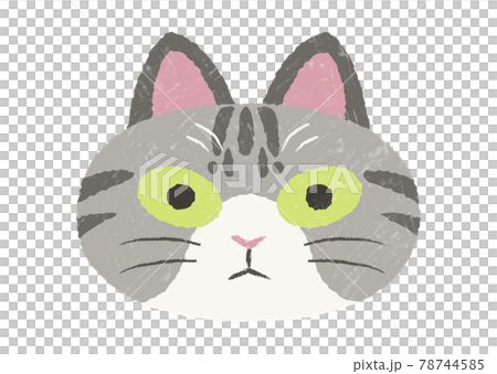 ぶさかわサバトラ猫の手描きテクスチャ付きアイコン ぶさかわサバトラ猫の手描きテクスチャ付きアイコン 78744585