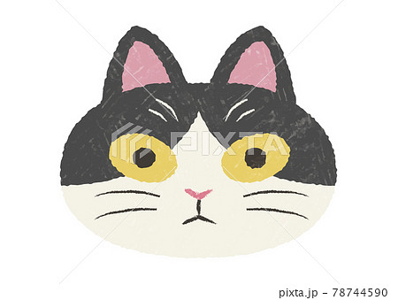 ぶさかわハチワレ猫の手描きテクスチャ付きアイコンのイラスト素材