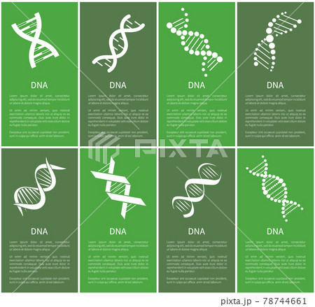 DNA Set of White Spirals Isolated on Blue Backdrop DNA Set of White Spirals Isolated on Blue Backdrop 78744661