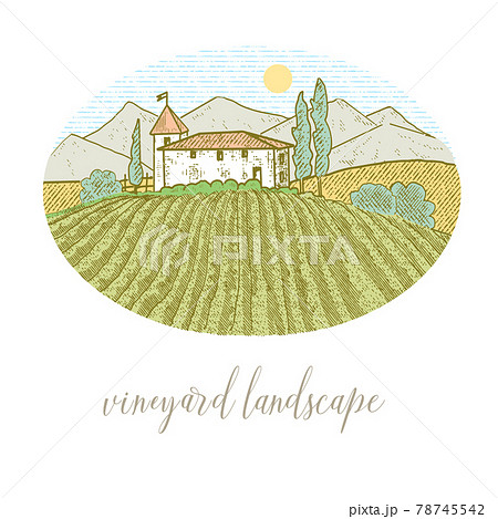 Rural house with a vineyard Rural house with a vineyard 78745542