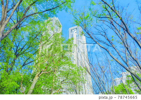 【東京の都市風景】東京都庁付近の都市風景 【東京の都市風景】東京都庁付近の都市風景 78745665