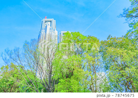 【東京の都市風景】東京都庁付近の都市風景 【東京の都市風景】東京都庁付近の都市風景 78745675