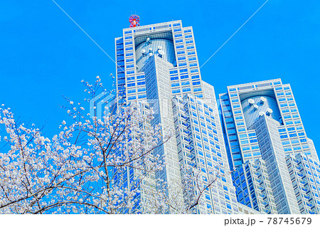 【東京の都市風景】東京都庁と桜 【東京の都市風景】東京都庁と桜 78745679