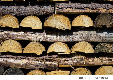 Stack of firewood prepared for winter. Spruce wood. 78746481