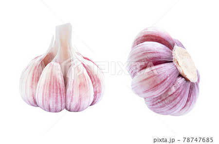 Set of garlic raw vegetable isolated on white background. 78747685