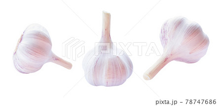 Set of garlic raw vegetable isolated on white background. Set of garlic raw vegetable isolated on white background. 78747686