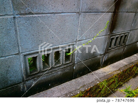 脱出したい草 脱出したい草 78747696