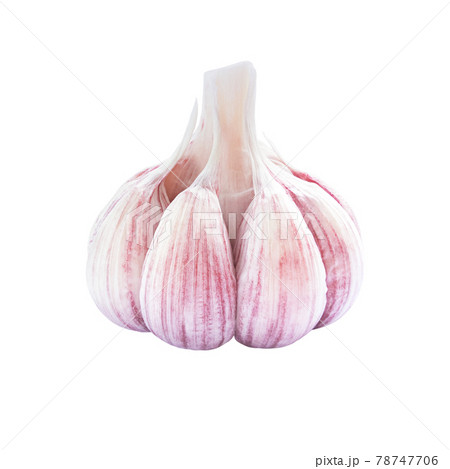 Garlic raw vegetable isolated on white background. Garlic raw vegetable isolated on white background. 78747706
