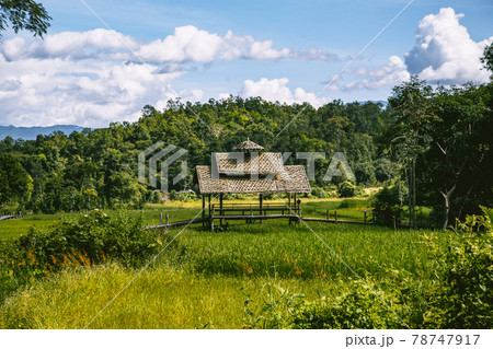 Bamboo Bridge in Pai, Mae Hong Son, Chiang Mai, thailand 78747917