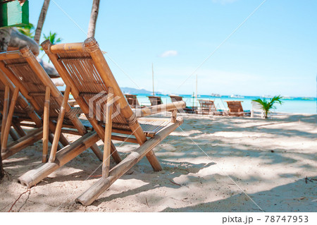 Coconut Palm tree on the sandy beach 78747953