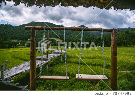 Bamboo Bridge in Pai, Mae Hong Son, Chiang Mai, thailand 78747995