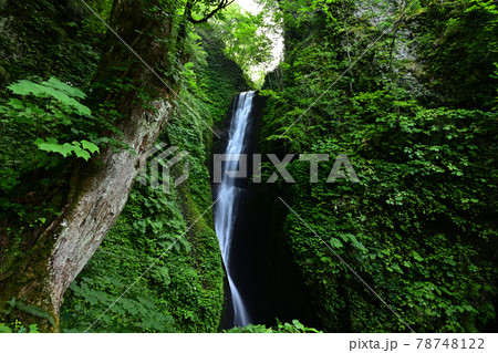 桂の滝より 桂の滝より 78748122