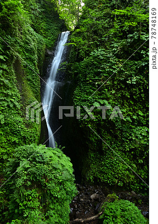 桂の滝より 桂の滝より 78748169