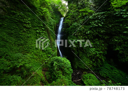 桂の滝より 桂の滝より 78748173